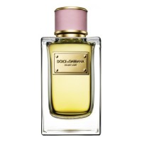 Dolce & Gabbana D&G Velvet Love