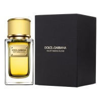 Dolce & Gabbana D&G Velvet Mimosa Bloom