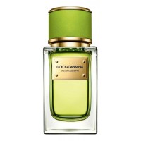 Dolce & Gabbana D&G Velvet Mughetto