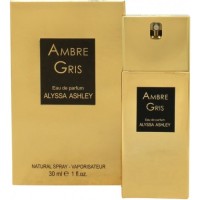 Alyssa Ashley Ambre Gris