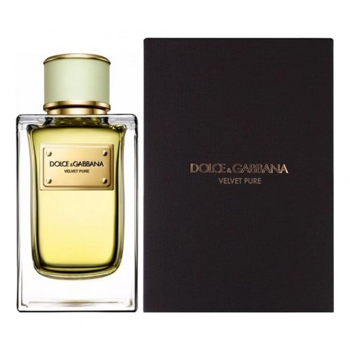 Dolce & Gabbana D&G Velvet Pure