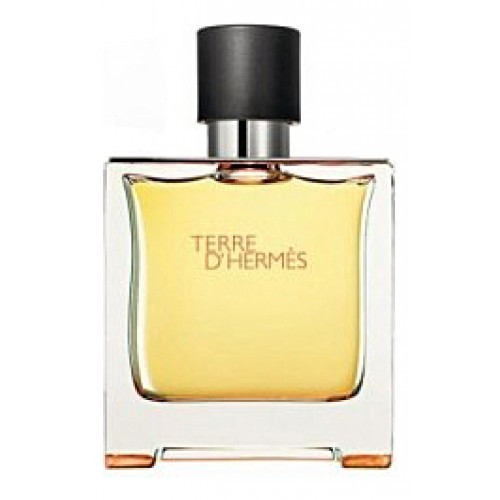 Hermes Terre D' pour homme