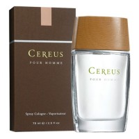Cereus No. 4