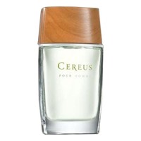 Cereus №5