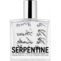 Comme Des Garcons Serpentine