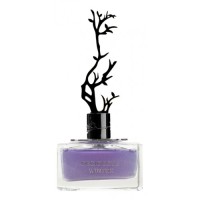 Aurora Scents Deciduous Winter