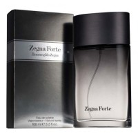 Ermenegildo Zegna Forte man
