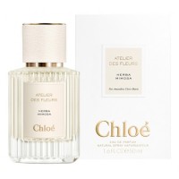 Chloe Atelier Des Fleurs Herba Mimosa