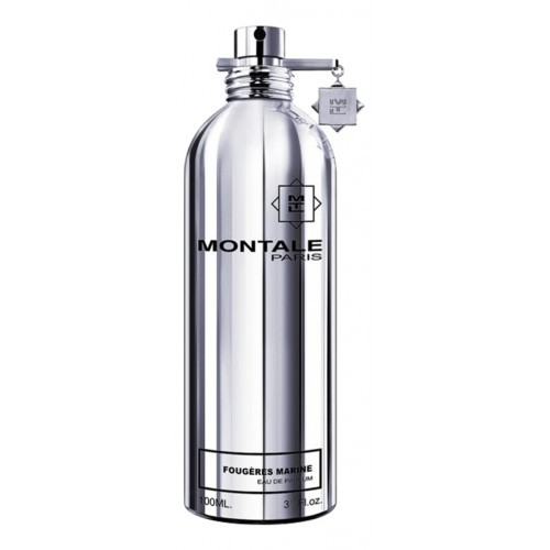 Montale Fougeres Marine