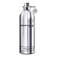 Montale Ginger Musk