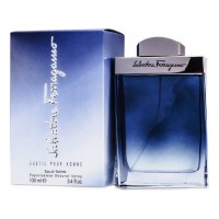 Salvatore Ferragamo Subtil for men