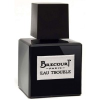 Brecourt Eau Trouble