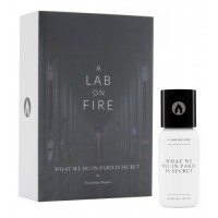 A Lab on Fire What We Do In Paris Is Secret