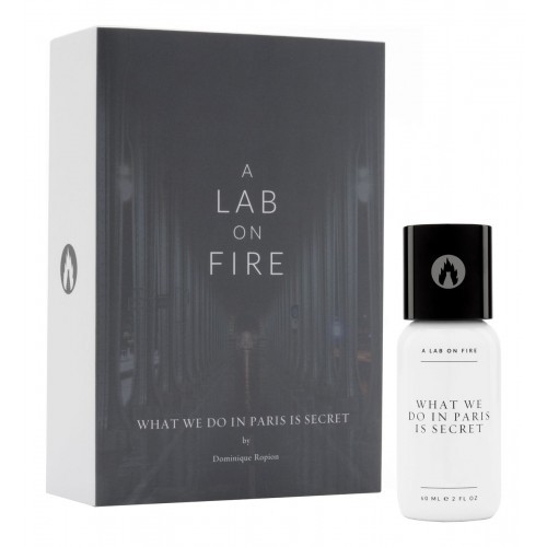 A Lab on Fire What We Do In Paris Is Secret