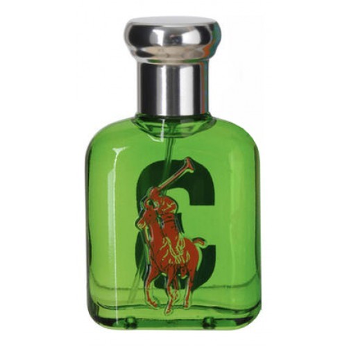 Ralph Lauren Big Pony 3