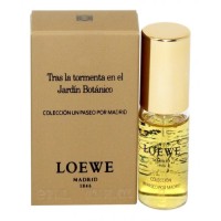 Loewe Tras La Tormenta En El Jardin Botanico