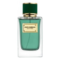 Dolce & Gabbana D&G Velvet Cypress