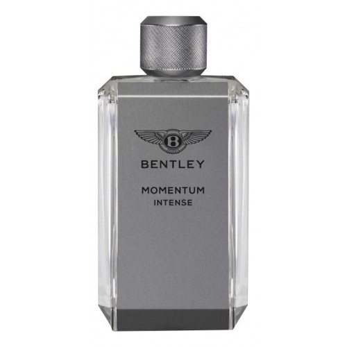 Bentley Momentum Intense
