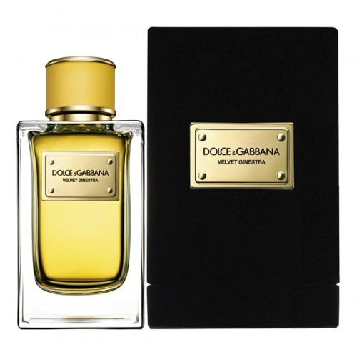 Dolce & Gabbana D&G Velvet Ginestra